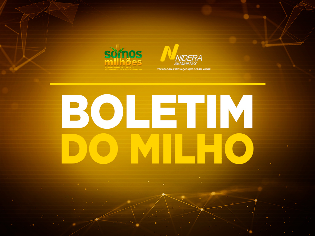 banner boletim do milho